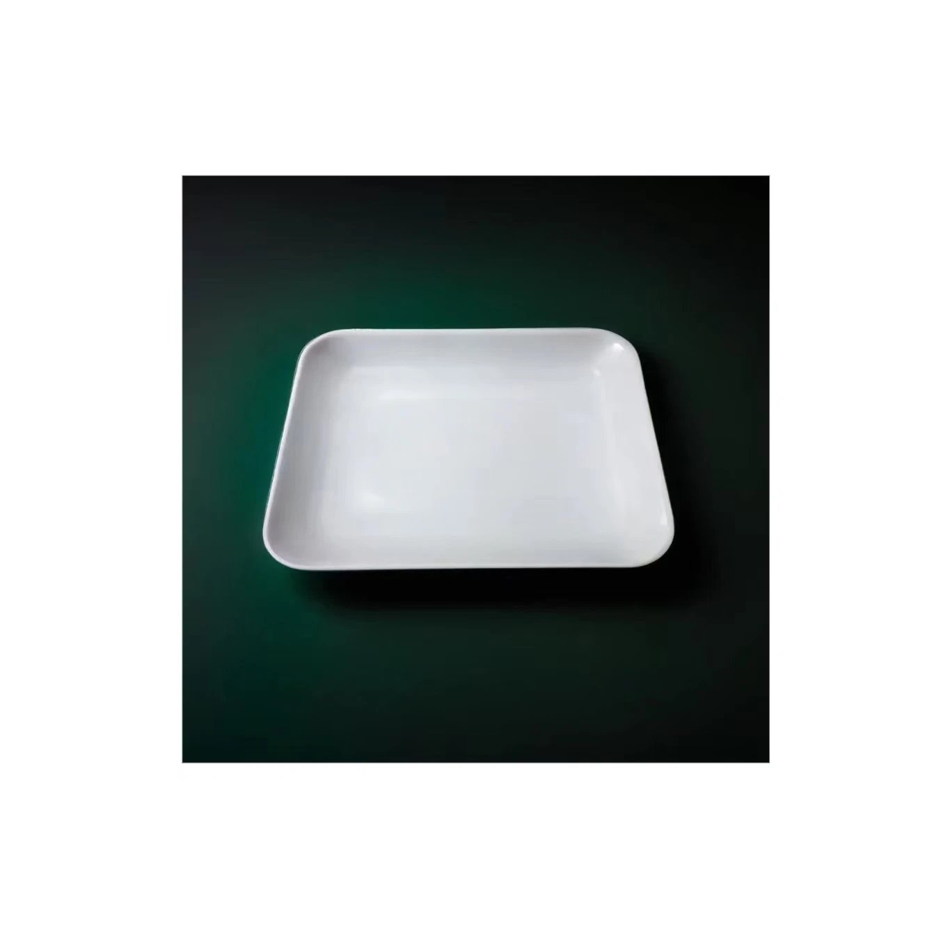 Wholesale White Matte Square Disposable Dining Plates Custom Brand Logo Lightweight High Strength PLA Plastic Packaging