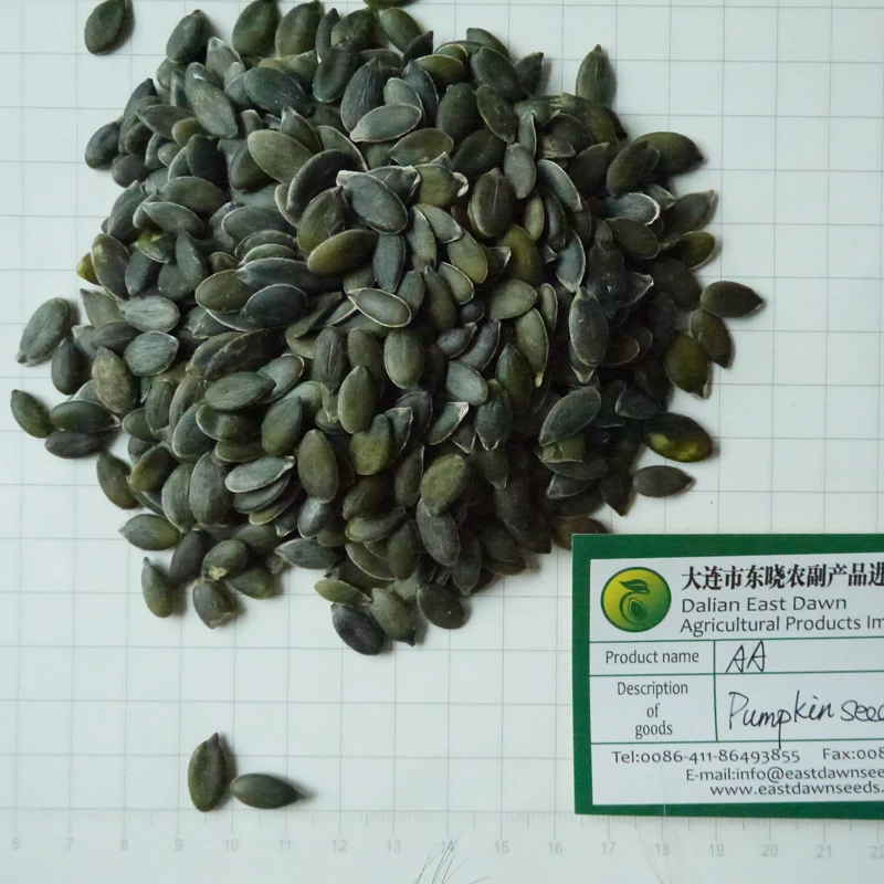 GWS Pumpkin seed kernel Edible Seeds Dark Green Pumpkin Kernels