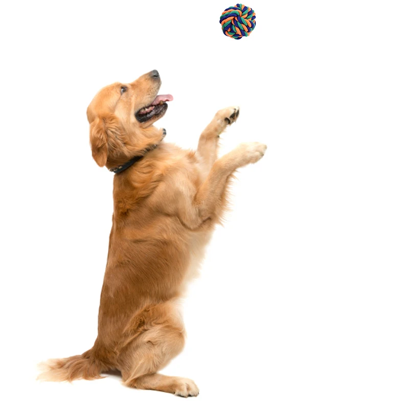 Poly colorful woven cotton puppy chew toy CVC interactive pet toy ball for dog