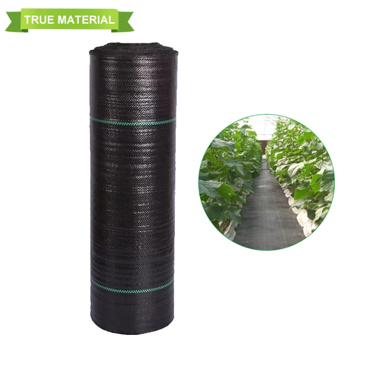 Weed Mat Roll Anti Weed Mat Weed Control Ground Cover Anti-Grass Mesh