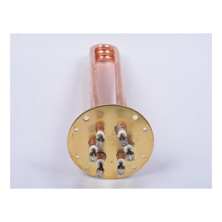 12 В Солнечный Горячий Электрический 220 В водонагреватель элемент