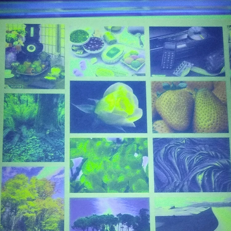 Invisible uv ink L850 for Epson