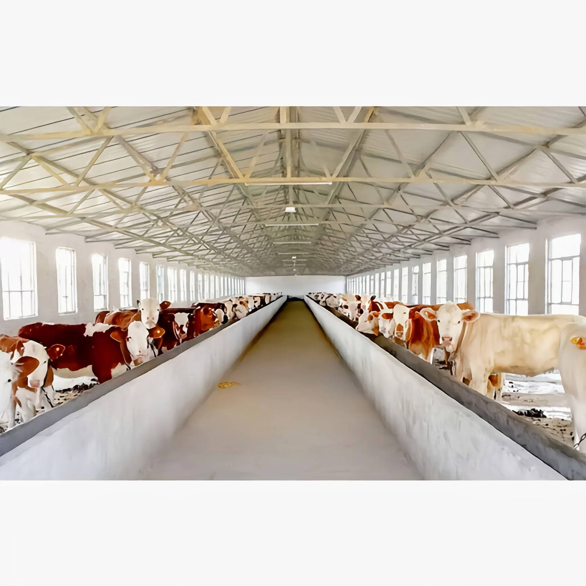 BJYC Low price steel frame iron building chicken house for sale