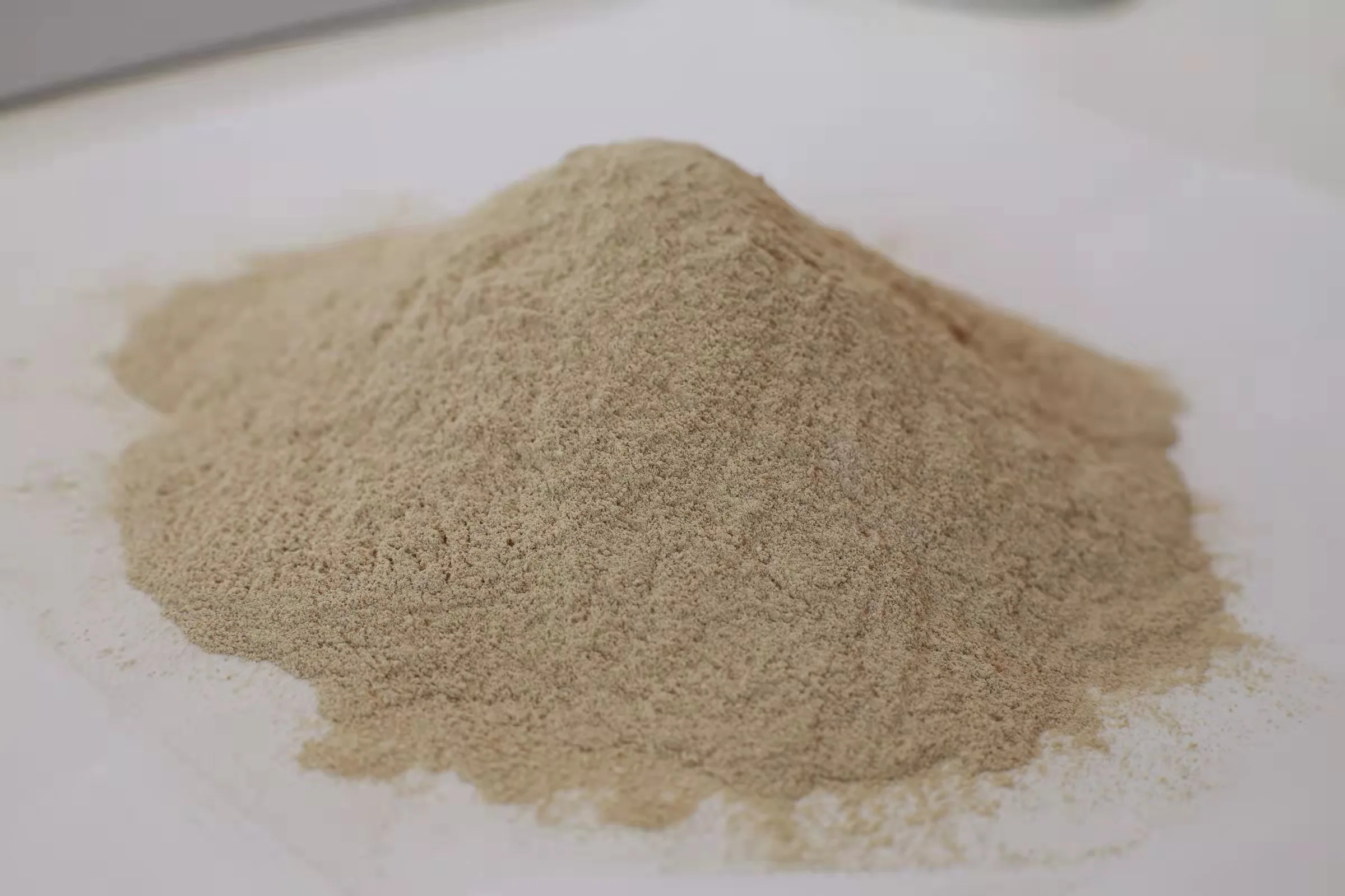 Special compound enzyme for suckling piglets promotes feed digestion and reduces the incidence of suckling piglets