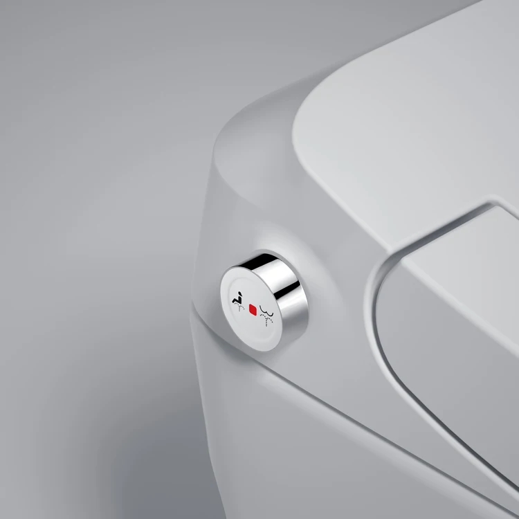 Foot Kick Flushing Bathroom Intelligent Toilet Cold Water Bidet