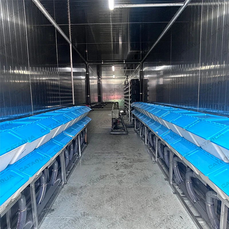 CATAQUA Container Ras System Equipment Crab Box Ras System Aquaculture Equipment For Indoor Fish Farm