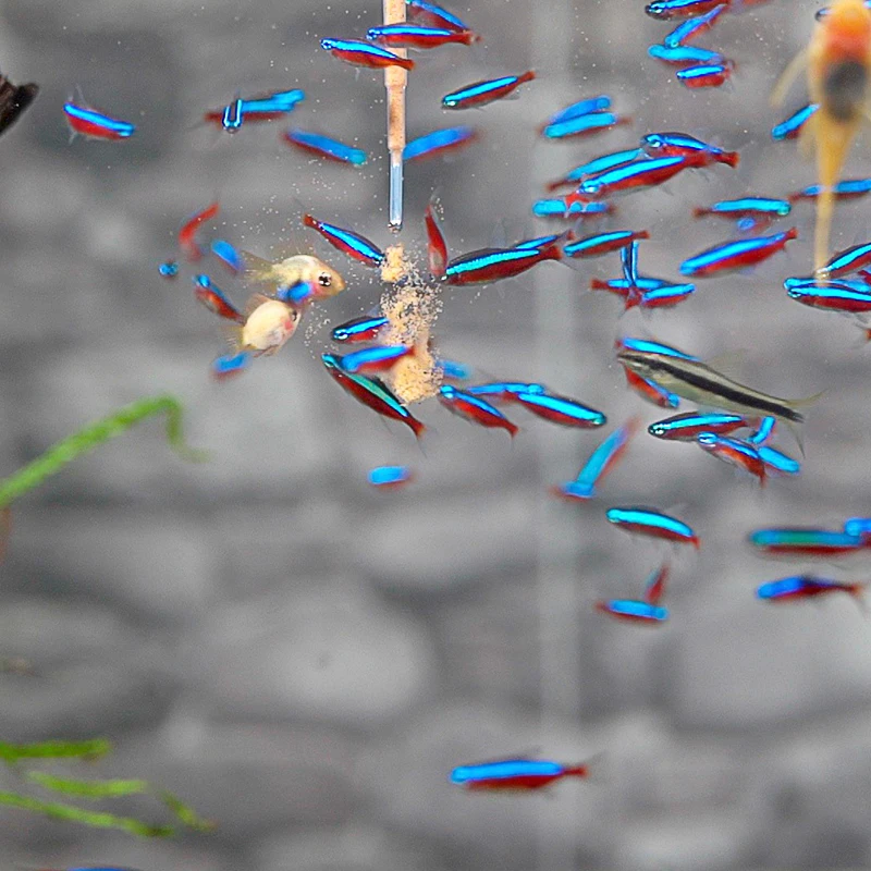 Набор для аквариума «сделай сам», инкубатор для рыб, креветок, яиц, аквариумный инкубатор для разведения рыб, аксессуары для аквариума