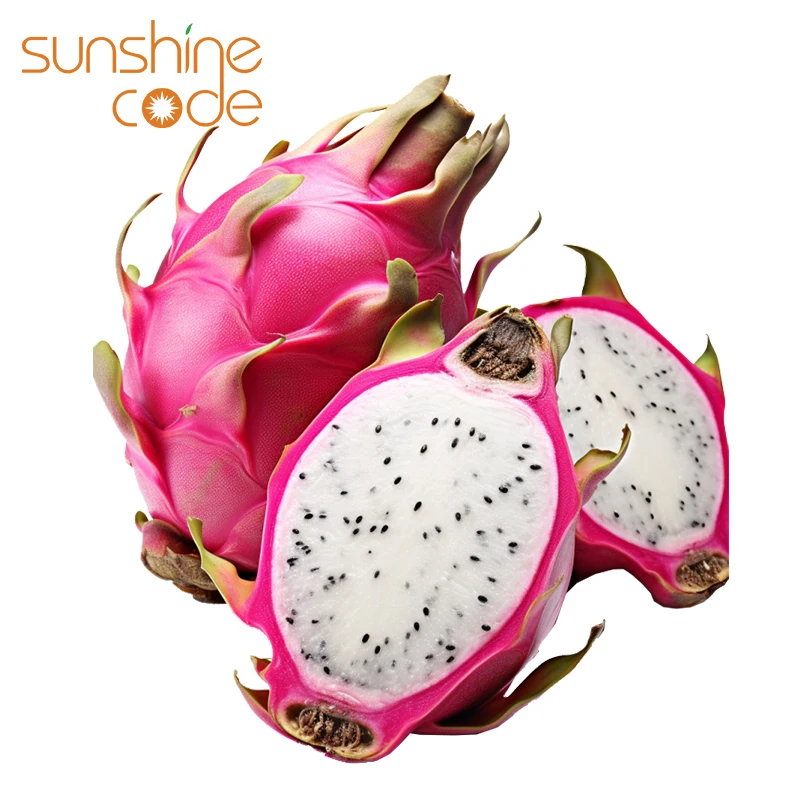 Sunshine Code dragon fruit organic sweet dragon fruit germany dragon fruit for export