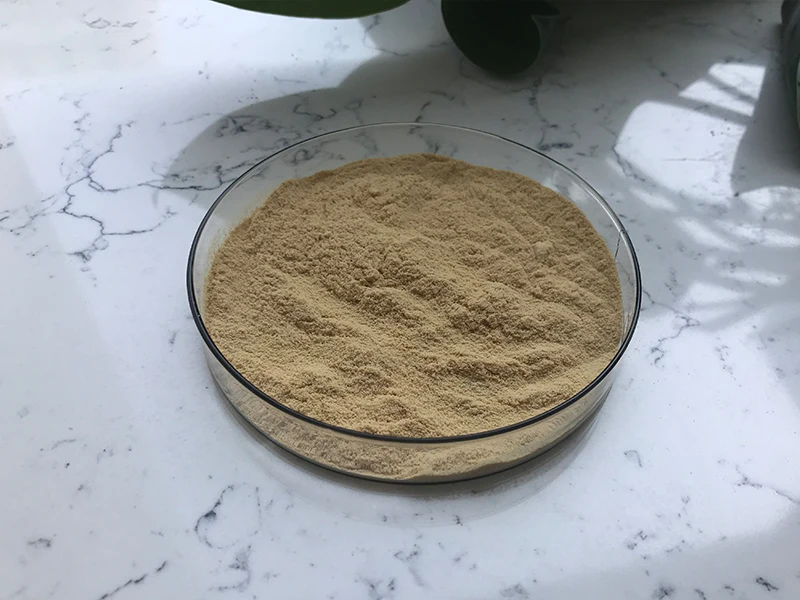 Camellia Oleifera Seeds Extract Tea Saponin Powder