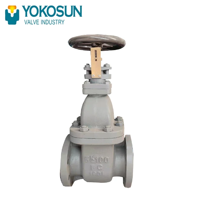 JIS F7363 GATE VALVES 5K65 5K125  5K80CAST IRON