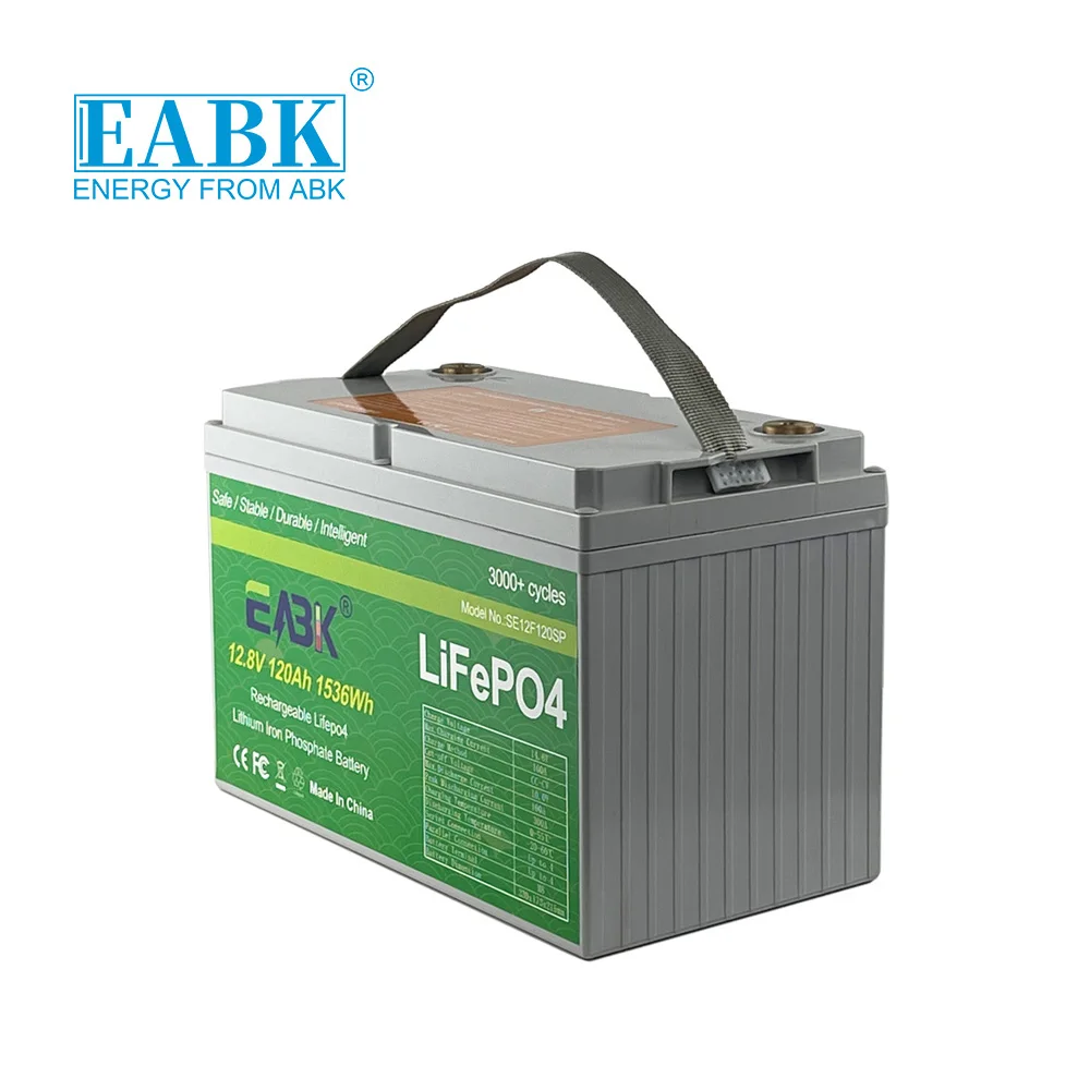 Built in Smart BMS Low temperature Li Batteries 12v 100Ah Lifepo4 Battery Support Phone Link For Rv Electric Golf Cart Marine