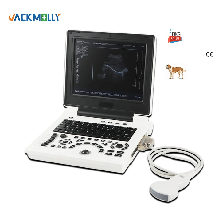 portatil medical laptop ultrasound JM-806H professional veterinary ultrasound China best manufacturer