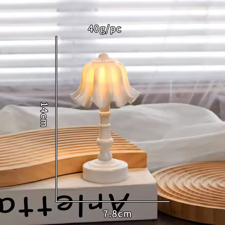 1735003360417.jpg