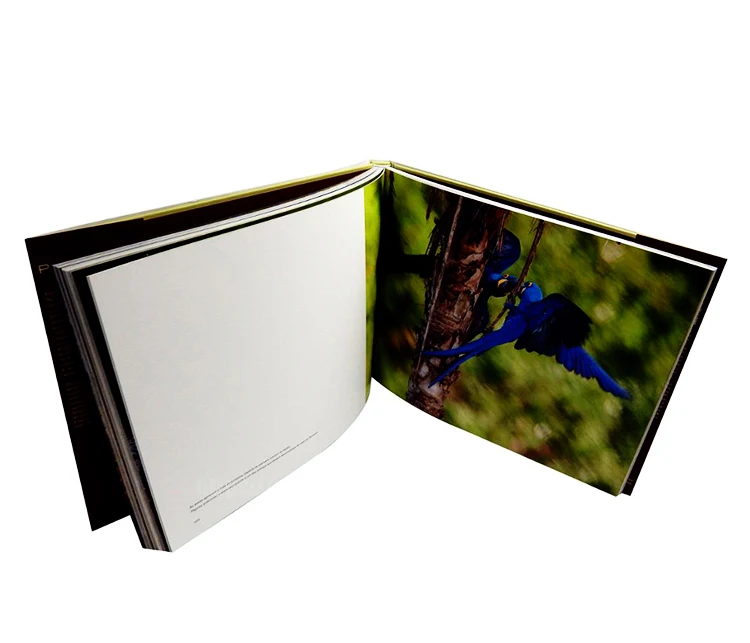 Custom Printed A4/A5 Soft Cover Full Color Workbook Booklet Book Catalogue Brochure Printing