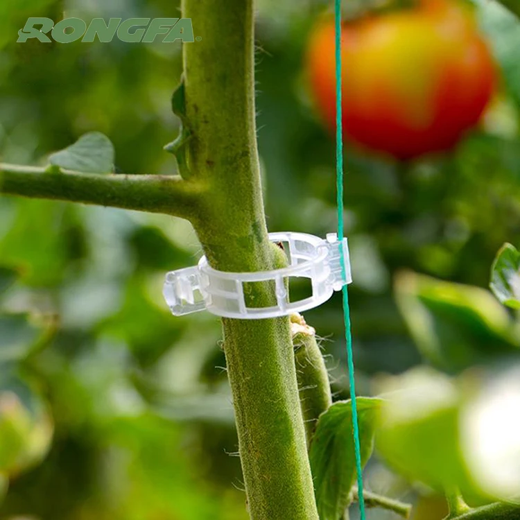 Garden Plastic Vine Plant Support Tomato Trellising Grafting Clips Plastic Tomato Clips