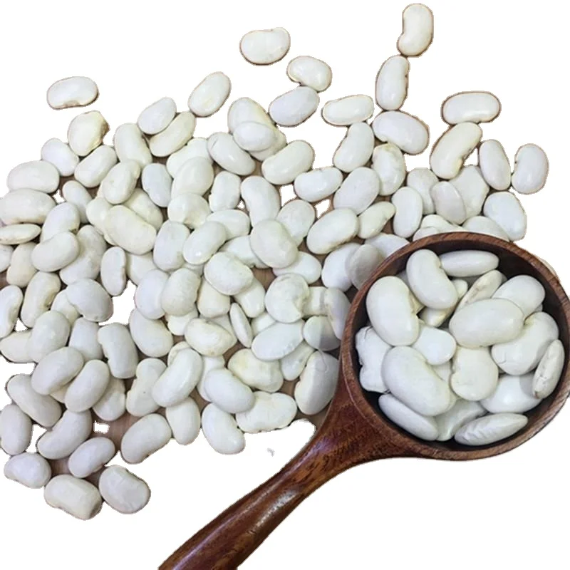 2024 new crop Chinese canned white kidney bean for human consumption