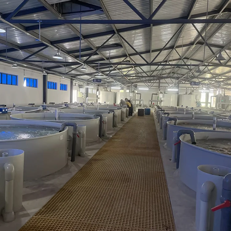 large big plastic circular round fish farm tank industrial large pp plastic aquaculture indoor fish farming water tanks