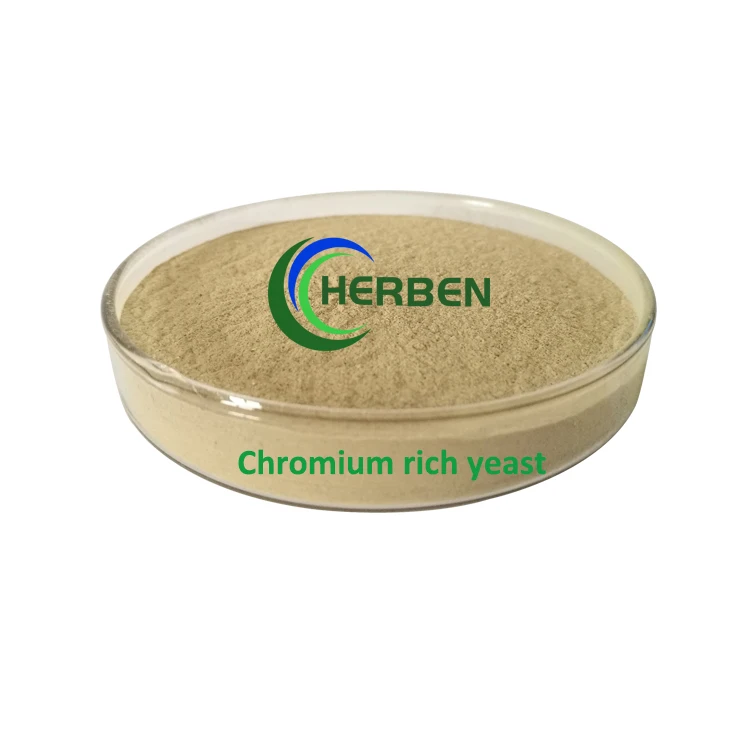1/6 Factory Supply Healthy Food Additive Chromium Enriched Yeast powder