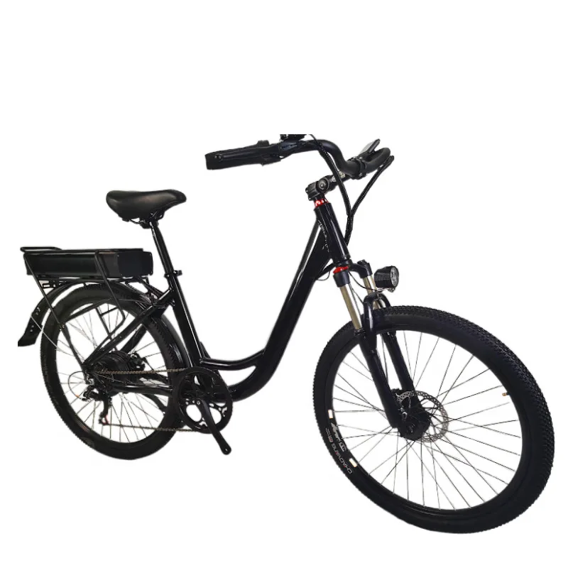 electric bike ladies cruiser beach electric bike 750w cheap