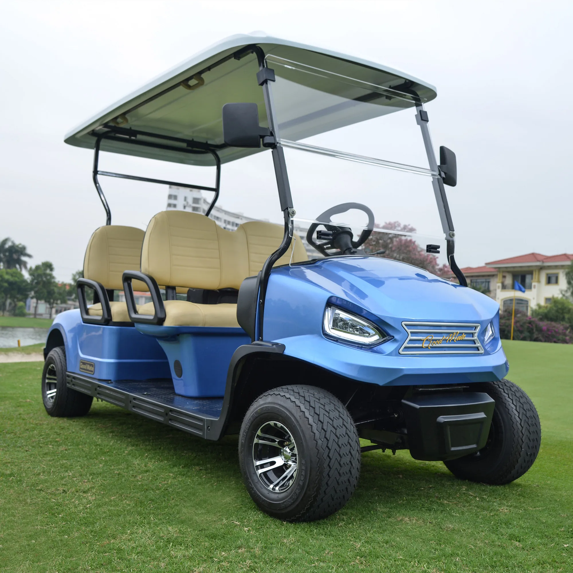 Electric Golf Car Golf Buggy with 4 Seater Golf Cart for Sale the Villages