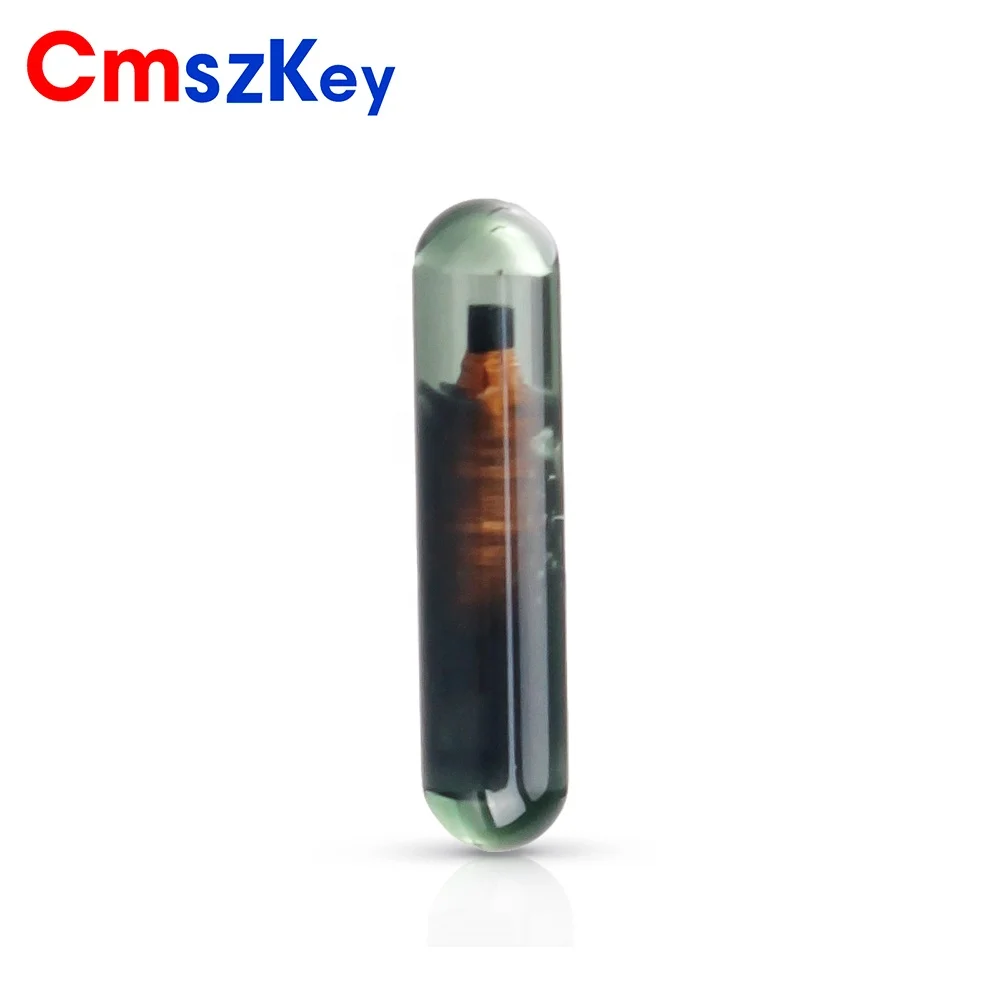 For Audi Fiat Acura Honda  Chevrolet Car Key Transponder Chip ID13 Glass Blank Chip