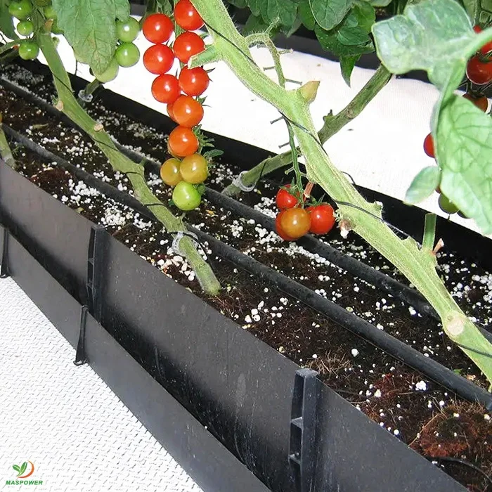ANTI-UV Soilless cultivation container trough tank ,gutter trays for blueberry ,rose ,strawberry ,tomato ,fresh cut flowers