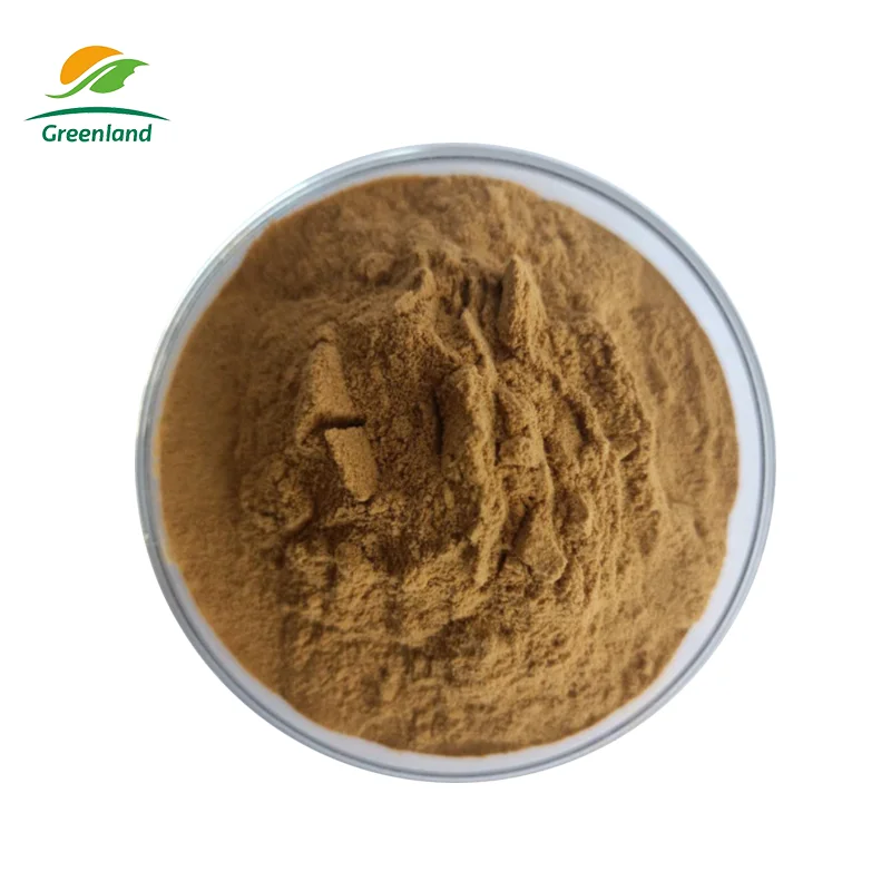 Citrus Aurantium Extract Dried Bitter Orange Peel Extract powder Tangerine peel extract powder