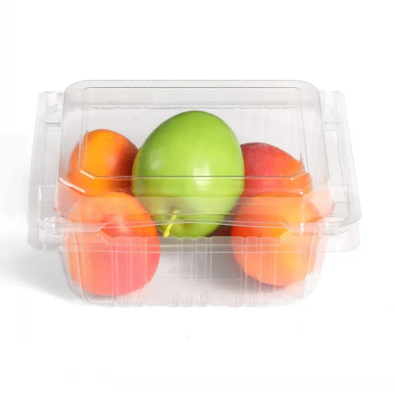 PET Transparent Food Box Plastic Flip Fruit Grade with Cover Blister Packing Disposable Dried Display Custom