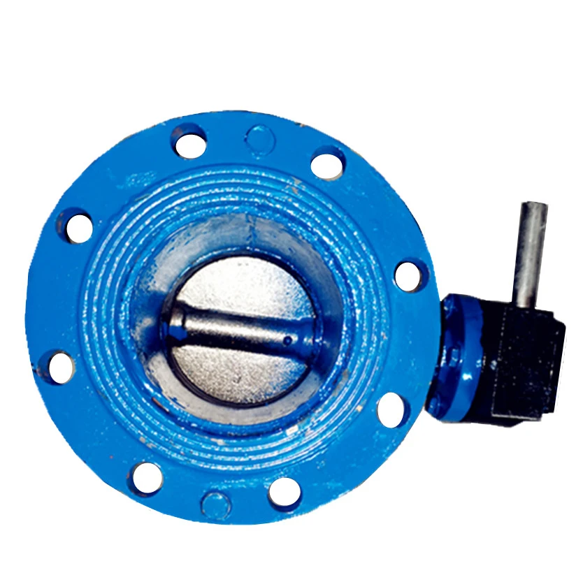 Butterfly Control Expansion Double Flange Butterfly Valve