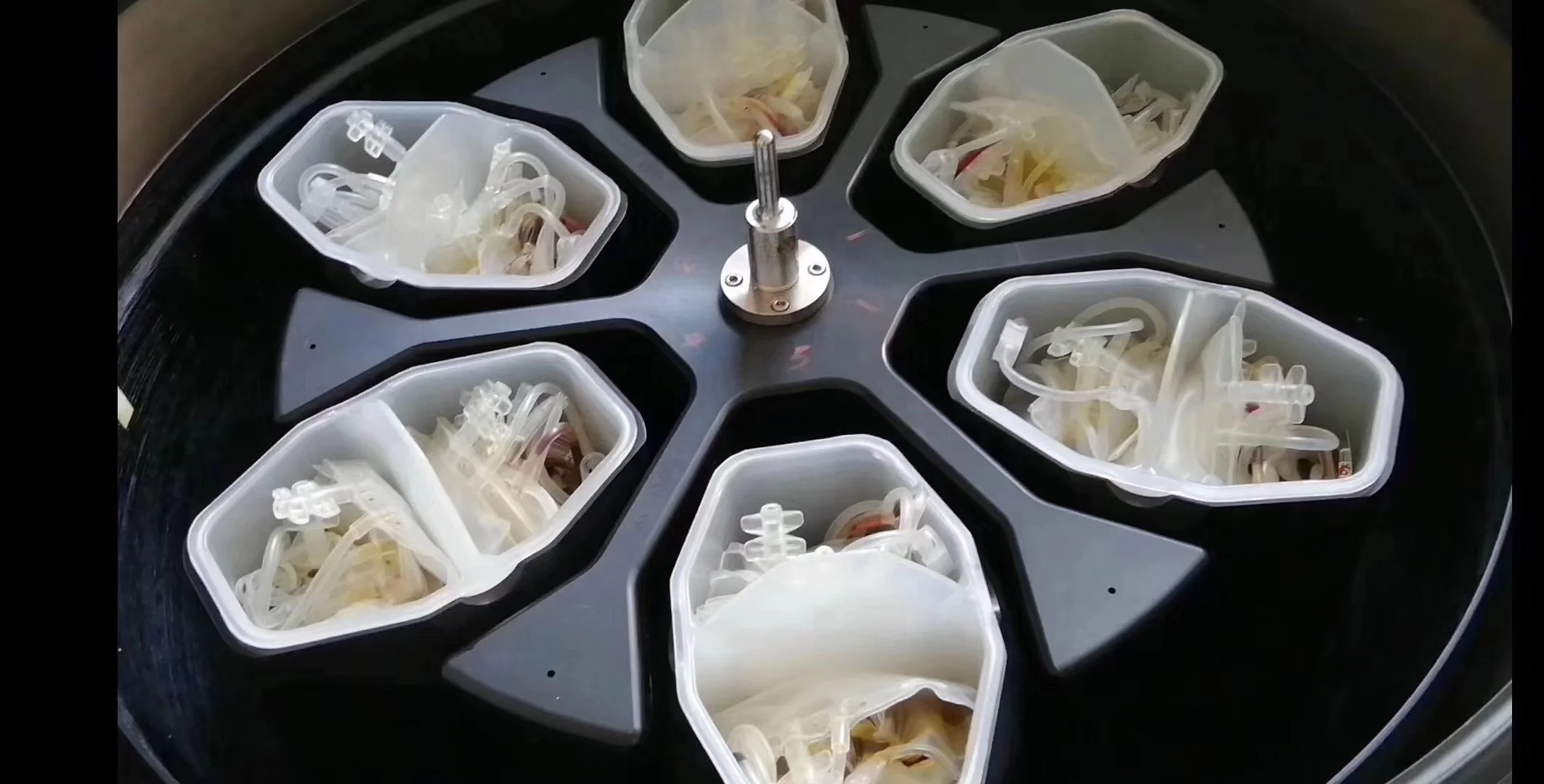 7000rpm blood bank refrigerated centrifuge machine large capacity for 450ml plasma triple blood bag separation