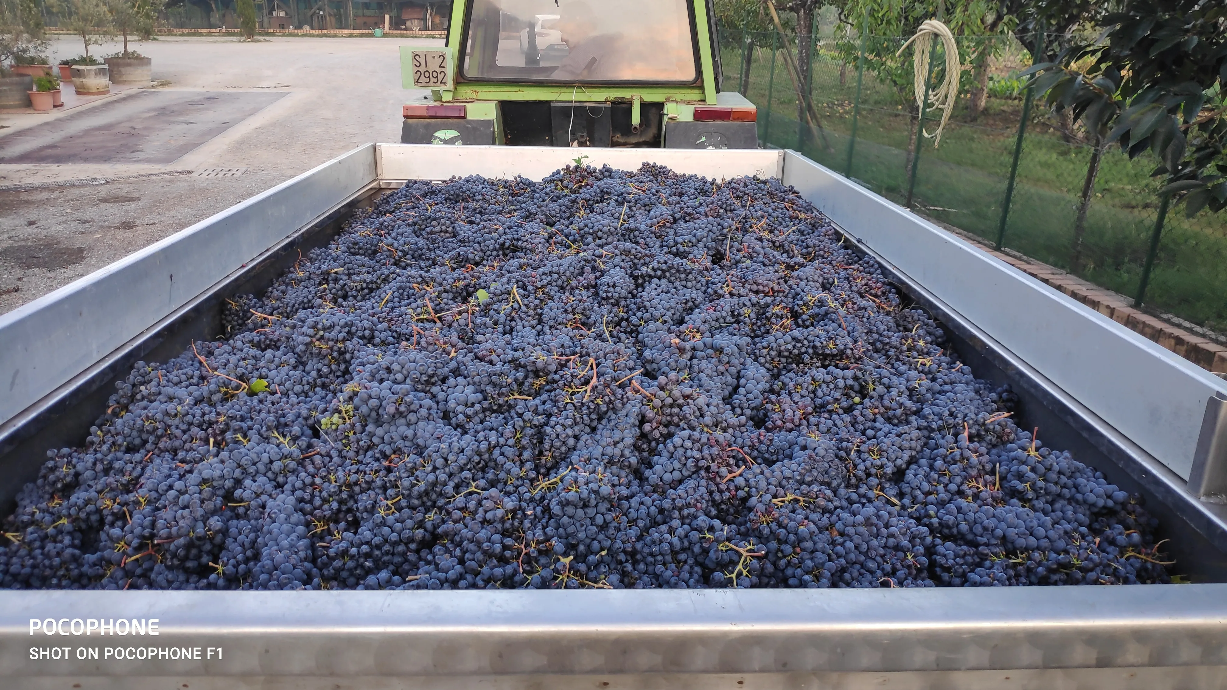 Hot Sale Made In Italy Vintage Red Wine 14 % Vol With Best Selected Grapes Table Wine Glass Bottle 75 Cl