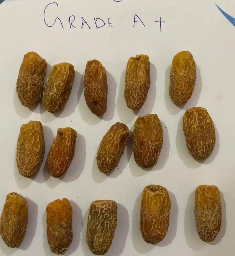 
kharek dates/ Pakistani aseel dried dates / yellow dry dates 