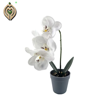 Chinese manufacturersArtificial Latex with Pot Wholesale Butterfly Phalaenopsi Orchid Flower greenery