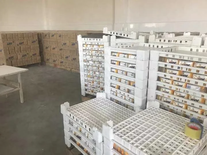 Распродажа оптовая продажа хорошая цена от производителя прямоугольное моющее средство для стирки мыло