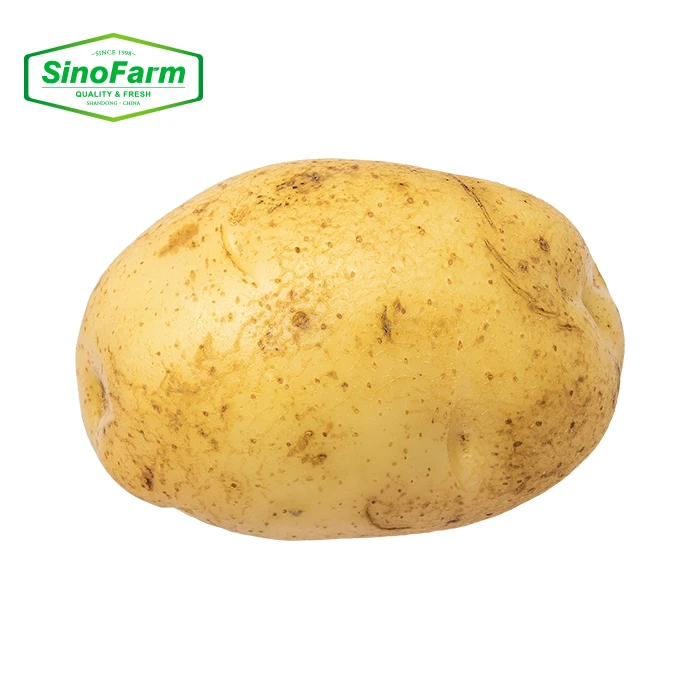 China Organic Vegetable Exporter Fresh Potatoes 100%  Natural Organic Potato