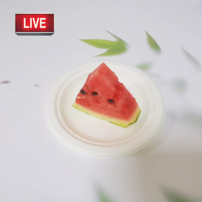 6 inches Disposable dinner plate biodegradable disposable plates sets dinnerware wholesaler