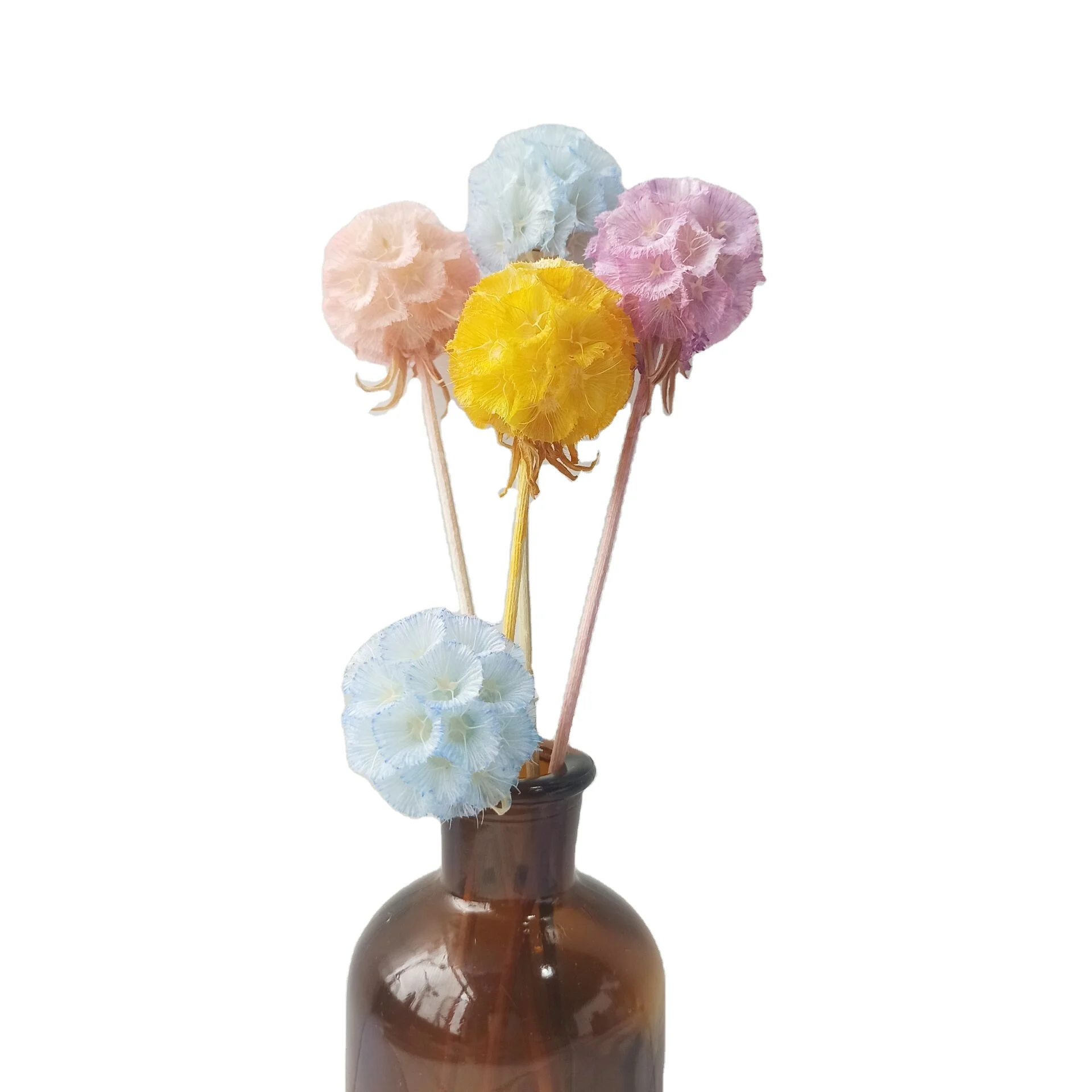 
Hot-selling Cheap Dried Flower Windmill Fruit as Dry Flower Bouquet Decoration 