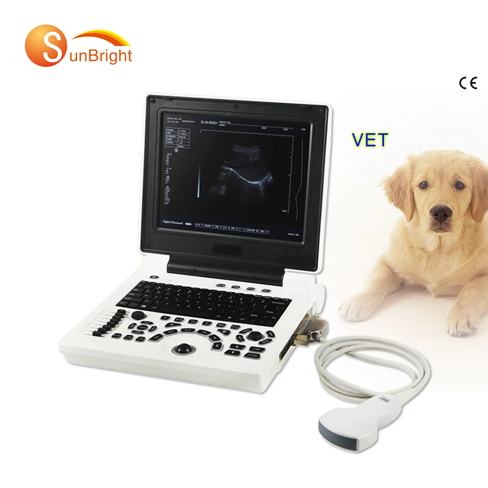 High quality portable goat veterinary ultrasound equipment with convex probe in standard configuration