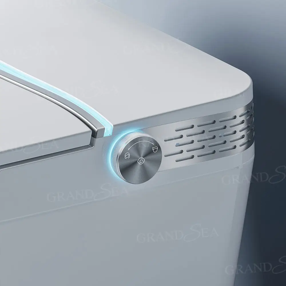 Hyundai Inodoro Oem New Product Sanitary Ware Bathroom Automatic Toilet Smart Bidet Toilet Smart Toilet