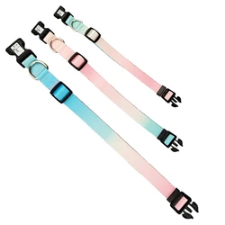 colorful dog collar accept custom logo wholesale pet collar