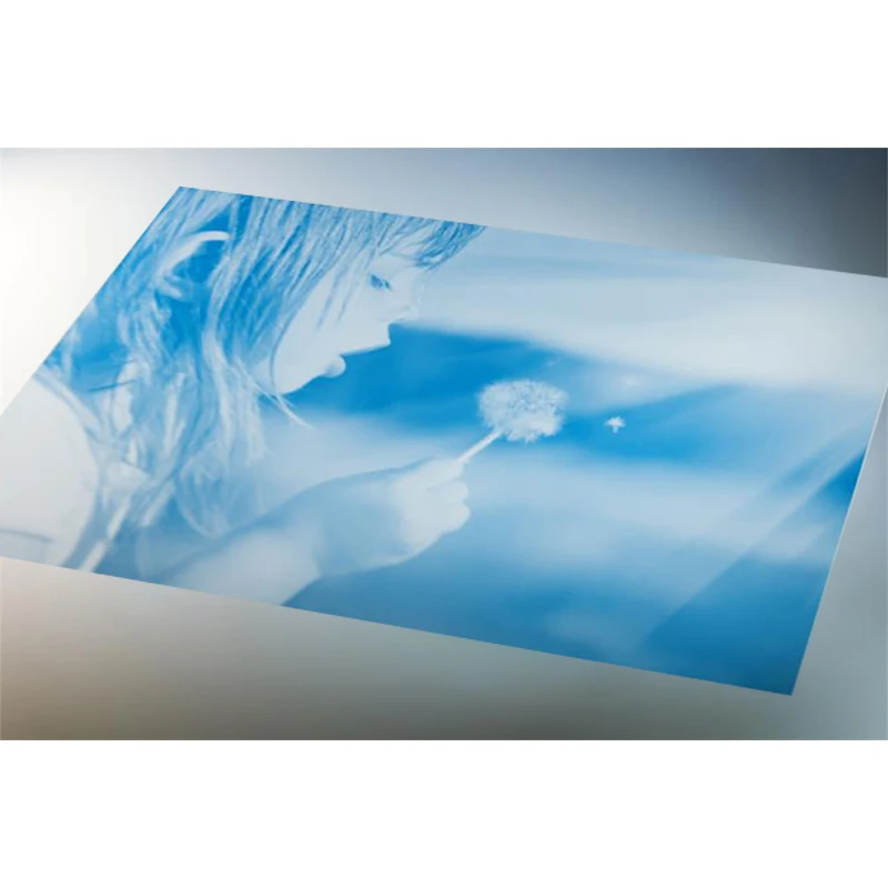 ALD ctp plate processor offset printing plate  ctp print processor plate