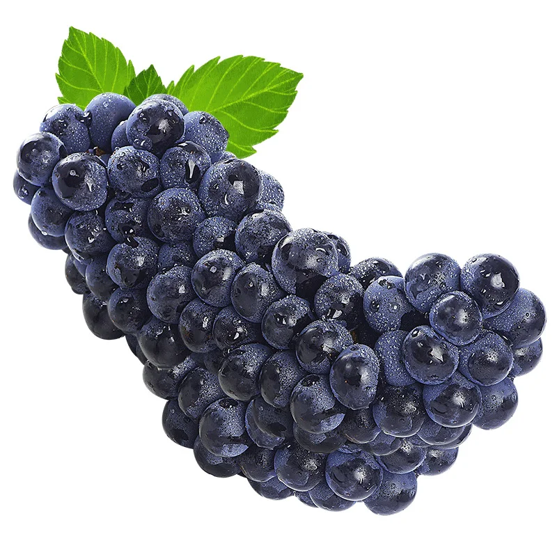 
Freshly picked, juicy and sweet, premium black grapes 