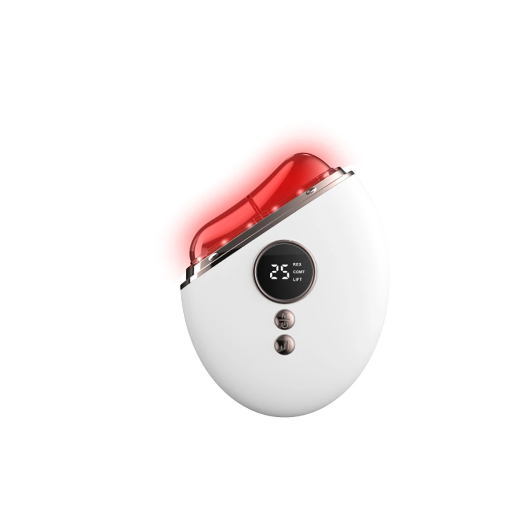 Electric EMS Micro-Current Gua Sha Vibrate Heated Scraping Lifting 5 Levels Vibration Facial Neck Massager