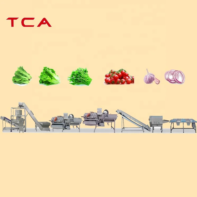 TCA Full automatic fresh vegetables and fruit processing line cleaning washing device