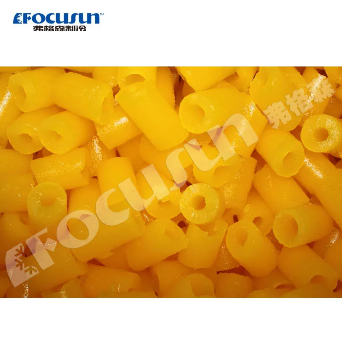 1ton ~10ton Focusun machine maker tube cube ice