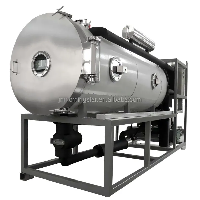 Hot selling automatic food Vegetables Seafood Fruits vacuum freeze dryer Lyophilizer dehydration Machine Equipment Factory price