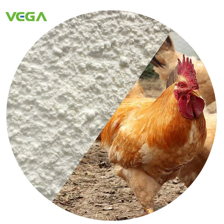
VEGA Bacillus subtilis with high purity Made in China 
