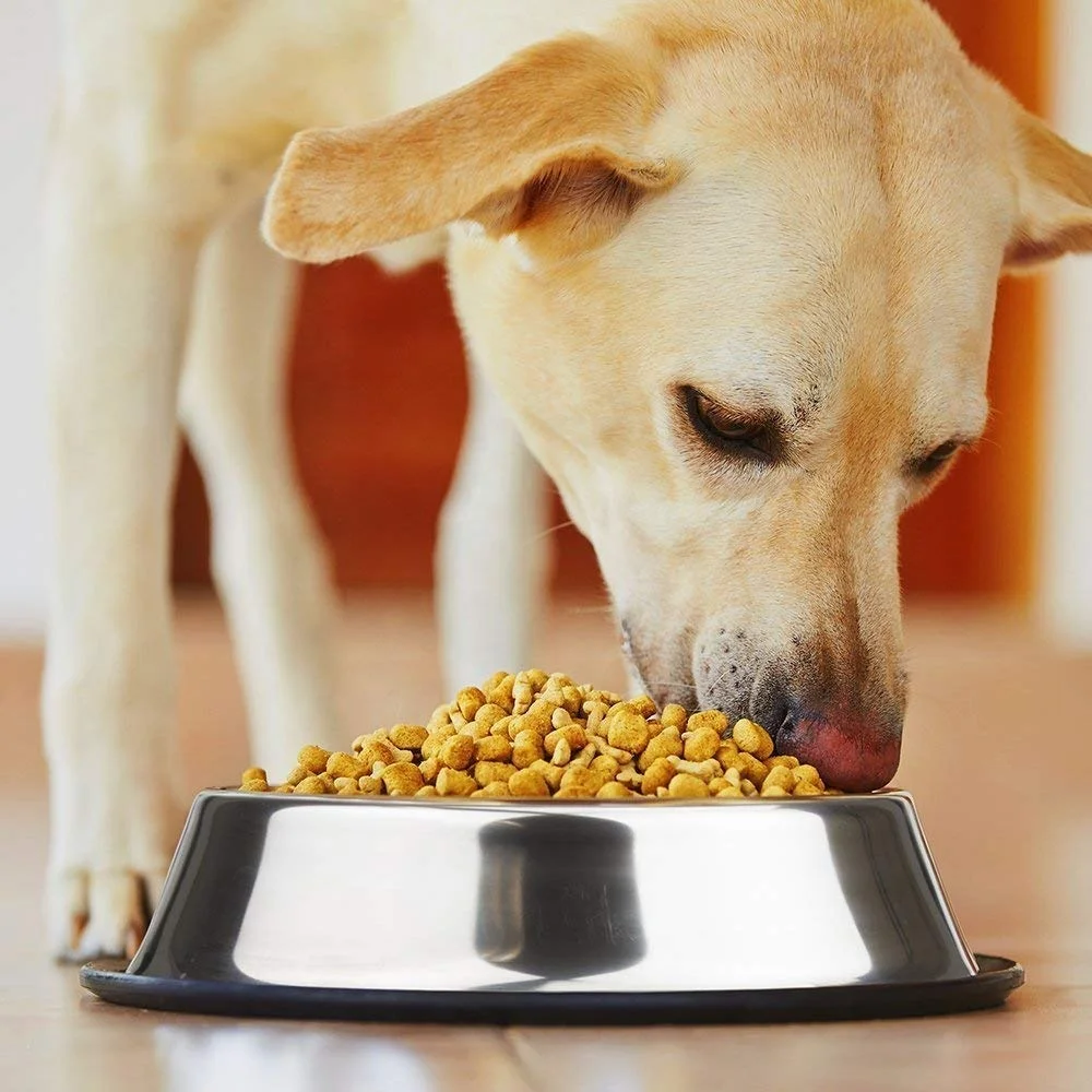 
Kingtale Small Medium Large Pet Feeder Bowl Stainless Steel Dog Food Bowl With Rubber Base 