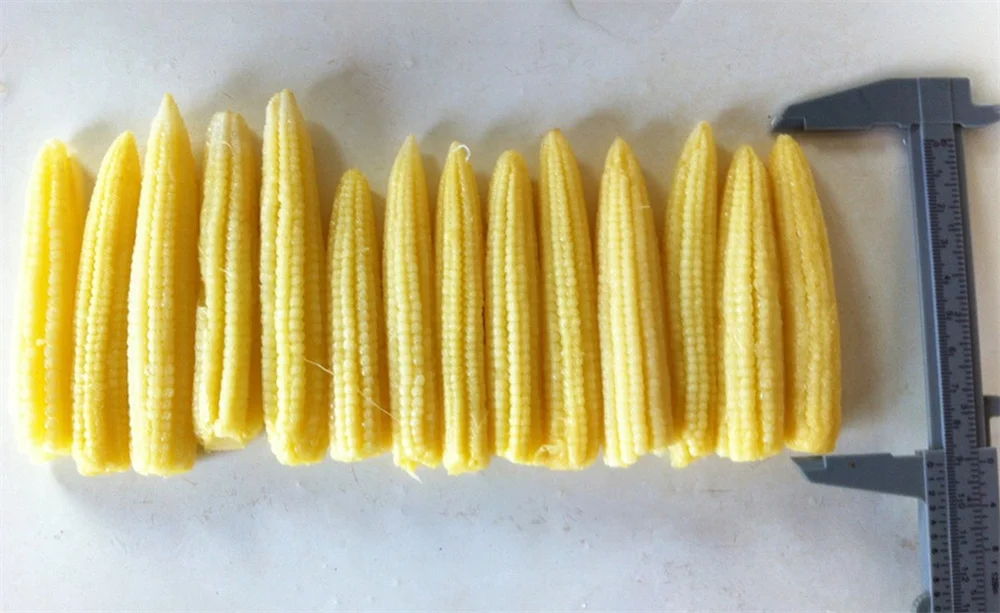 KWS Light sweet taste canned baby corn young corn from China