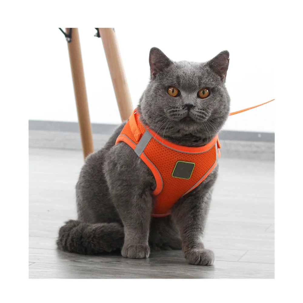 Portable Multicolor Comfortable Collars Comfortable Small Mesh Pet Harness for Dogs